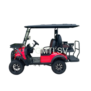 golf cart lifted 2+2