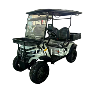 Lifted Golf Cart 2 Seater +Cargo Tray