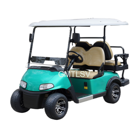 G2+2 Teal Golf Cart - 2 Seater Luxury Golf Cart for Sale