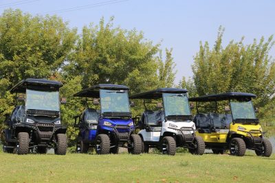 Golf Cart Style LSEV