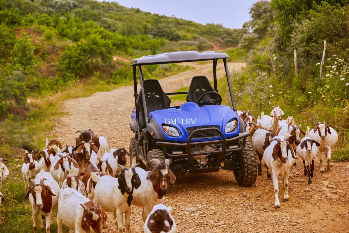 4WD 2seater UTV