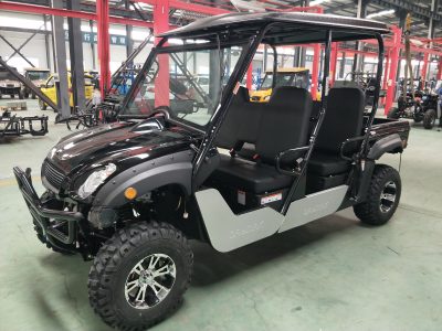 Spark plug inspection for UTV