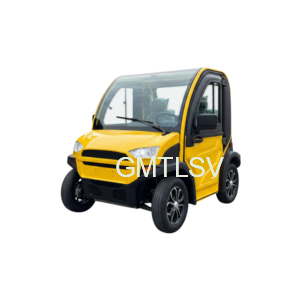 Fully Enclosed Electric Vehicle 2seater Mini Car EV New Energy Vehicles Mobility Scooter LSV