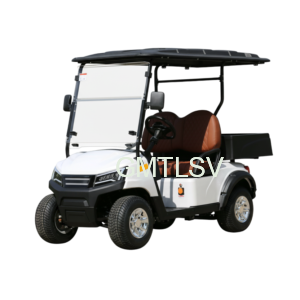 AH 2-1 Electric Golf Cart with Plastic Cargo box