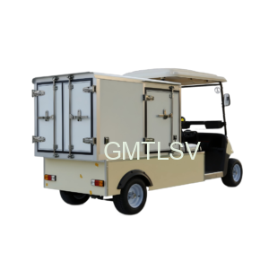GHS2-1 2Seater Golf Cart Modified with PP Honeycomb Cargo Box 5kW 72V Power System
