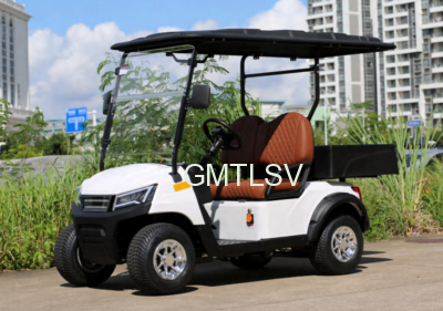 lsev-suspension-system-guide