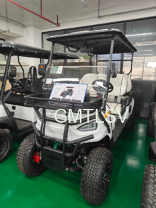 Engineering the "Stay-Put": A Technical Comparison of Low Speed Vehicle Parking Brake Systems