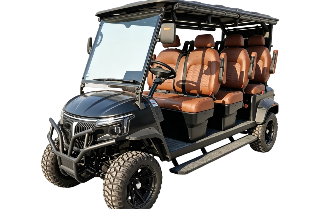 6 Passenger Electric Golf Cart