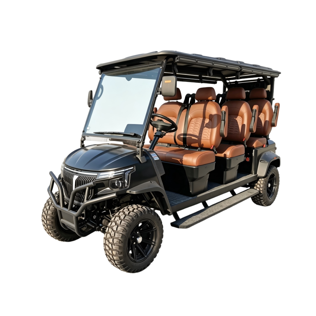 6 Passenger Electric Golf Cart