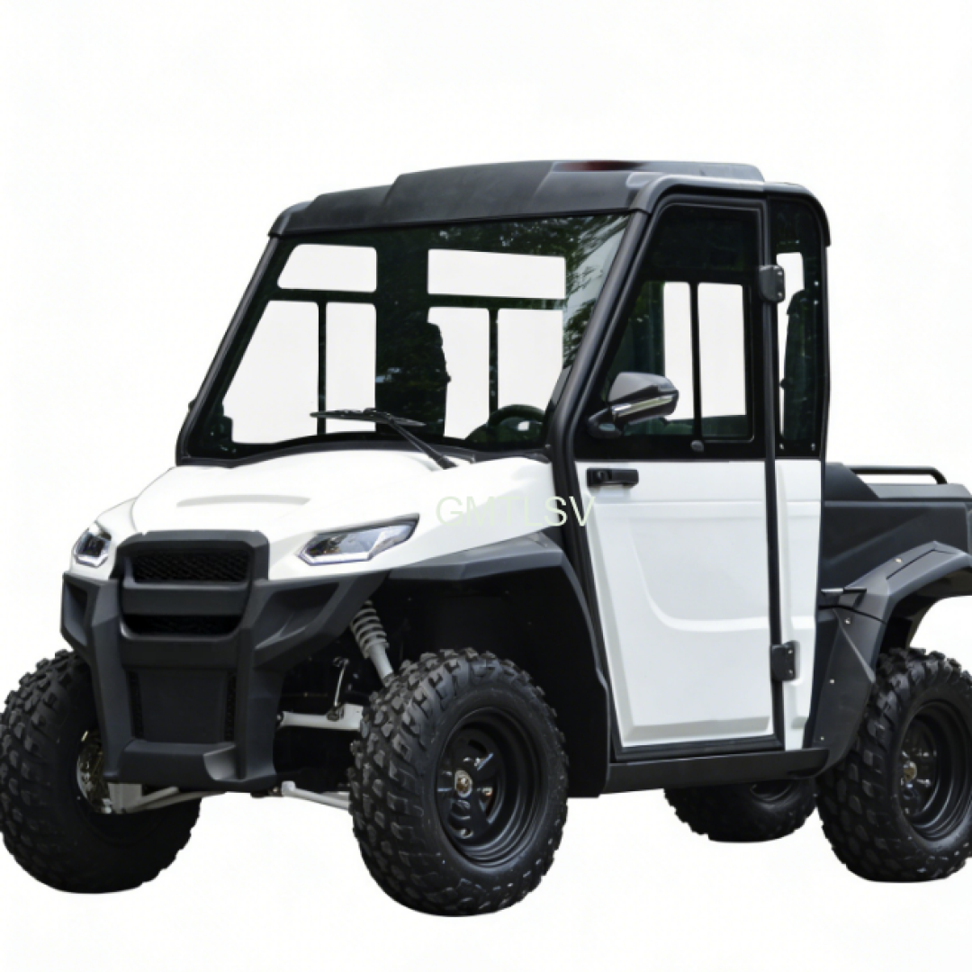 2WD 4WD electric UTV