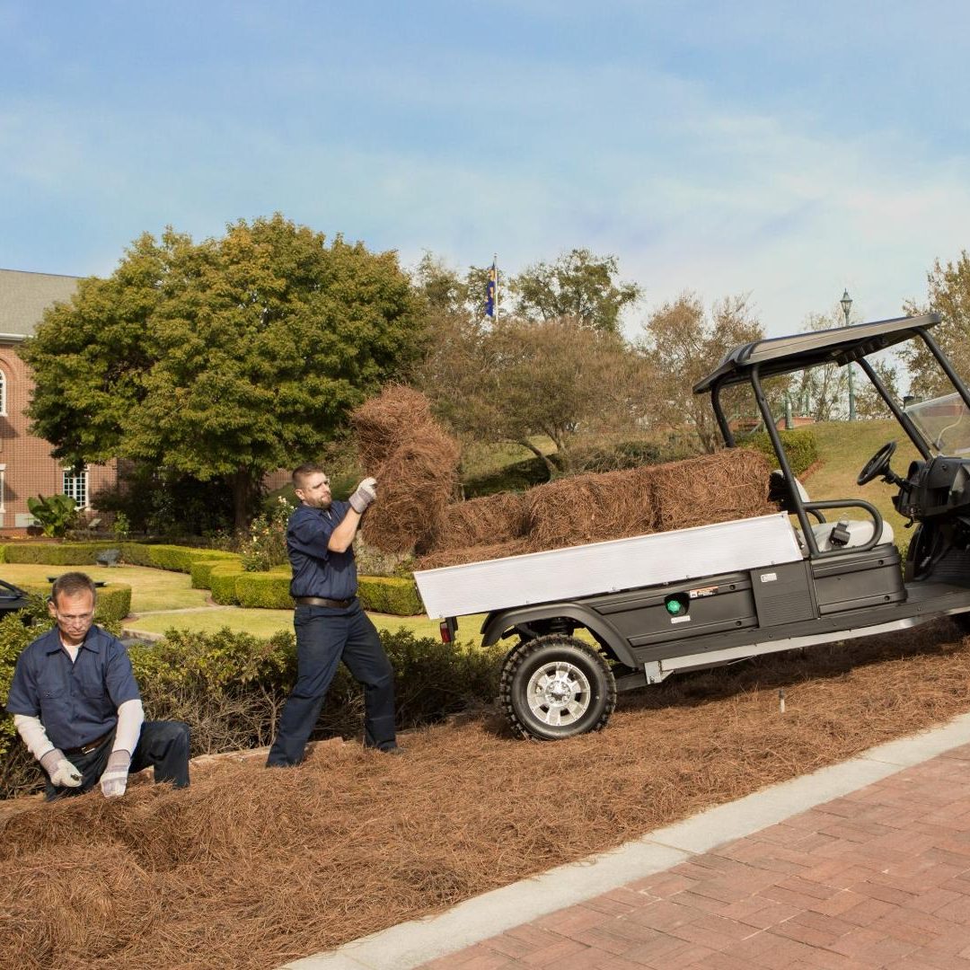 long bed golf cart 2